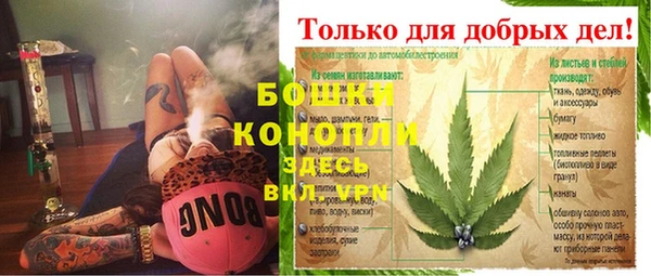 мдпв Волоколамск