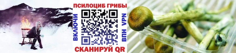Купить закладки  Кяхта  Псилоцибиновые грибы MAGIC MUSHROOMS 